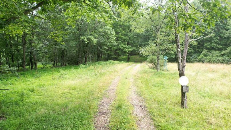 dji_fly_20250714_140702_431_1752537445831_photo