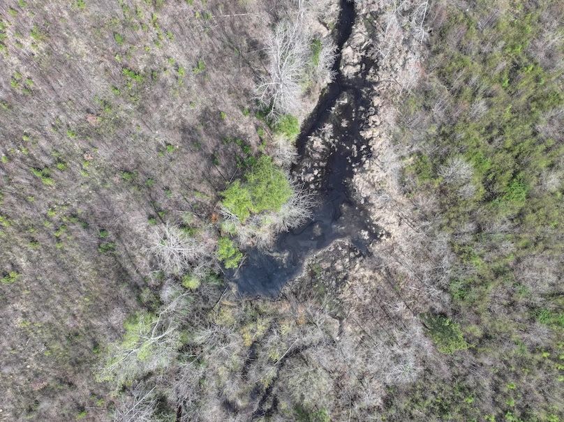 DJI_20260303063135_0533_D