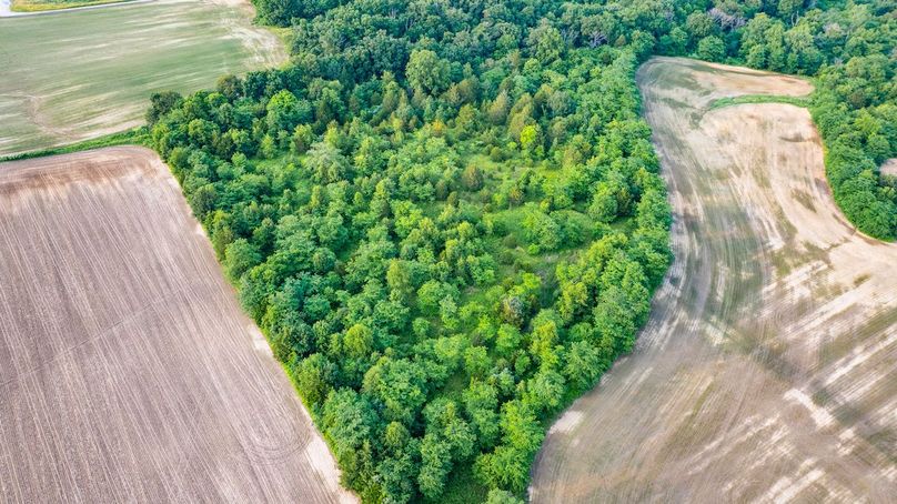 DJI_20250610060112_0023_D