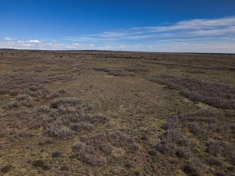 DJI_0019