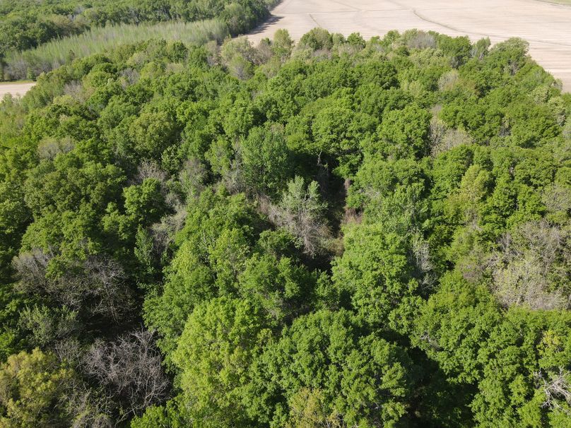 BF43873F-B171-4B17-B4BD-E9B73EEF4A40_1_102_o