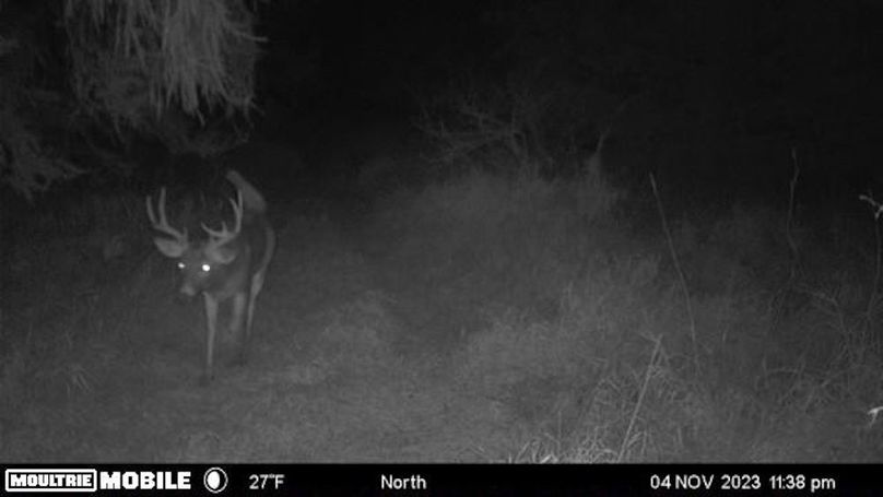 Temp_1082396-20231105043933-102MFCAM-MFDC0310