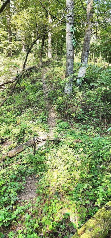 382329711_1310396452926314_506420681510145529_n