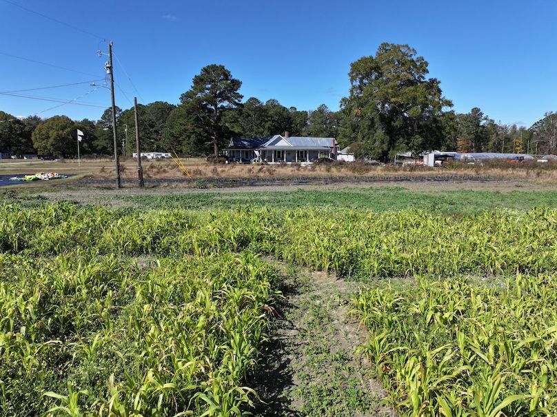 DJI_20251018124646_0165_D