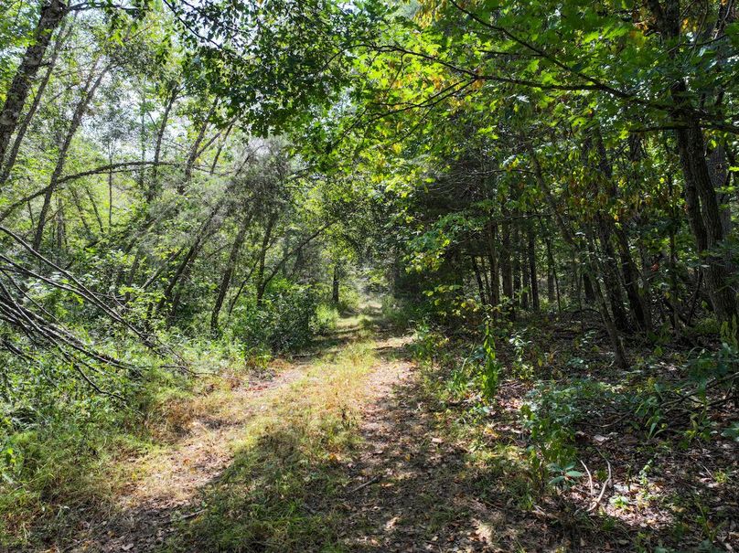 DJI_20250904124844_0594_D