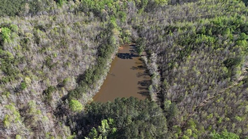 DJI_20250416102952_0115_D