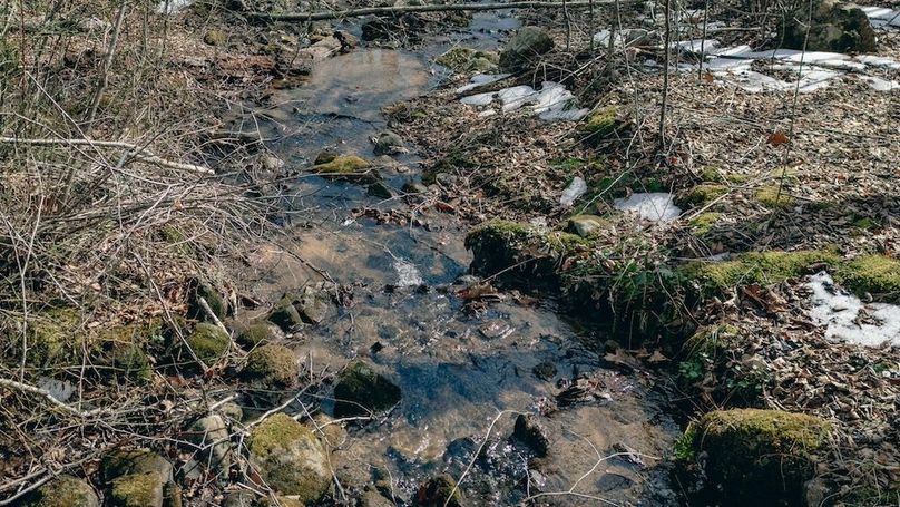 DJI_20260217115042_0077_D