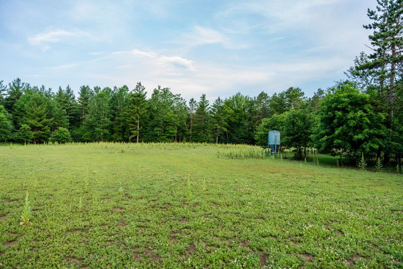 Ogemaw MI 475 Featured Pro Photo-742198