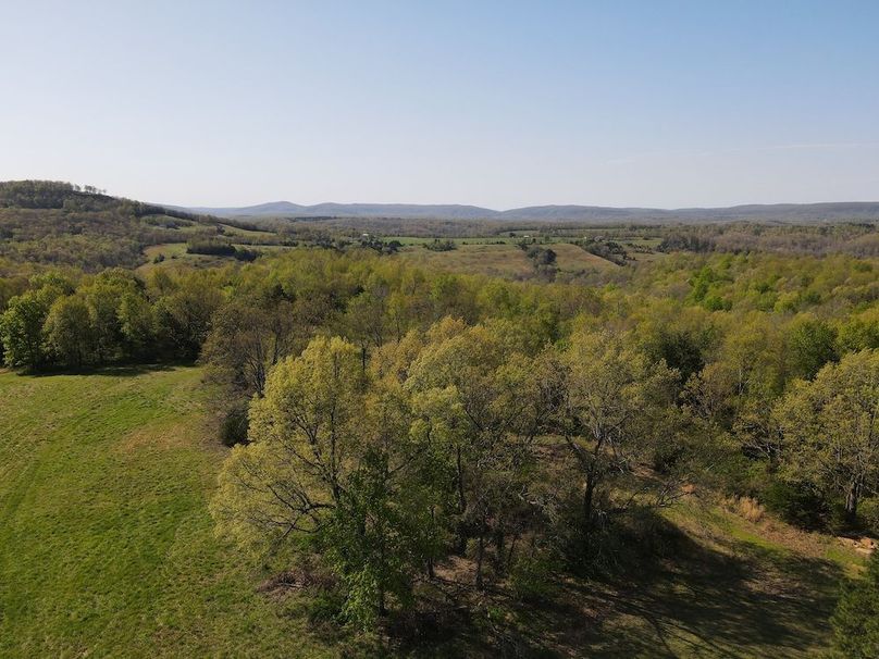 DJI_0290