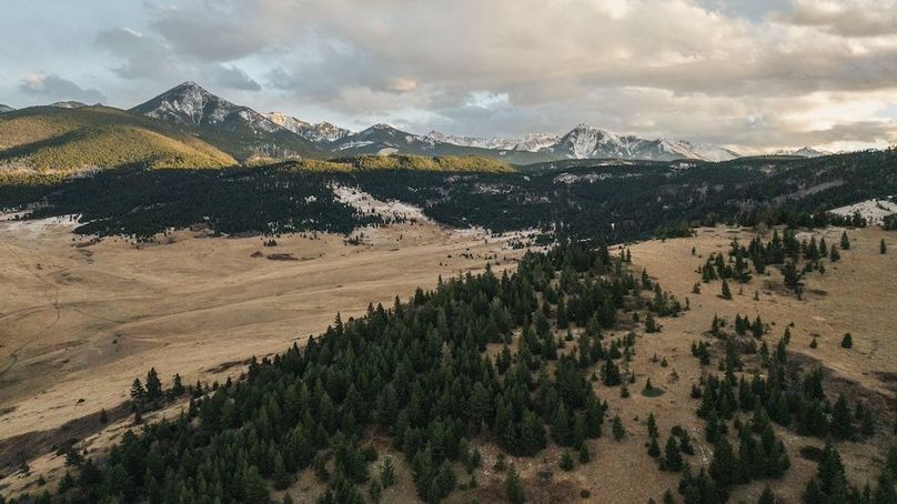 241114-DJI_0640