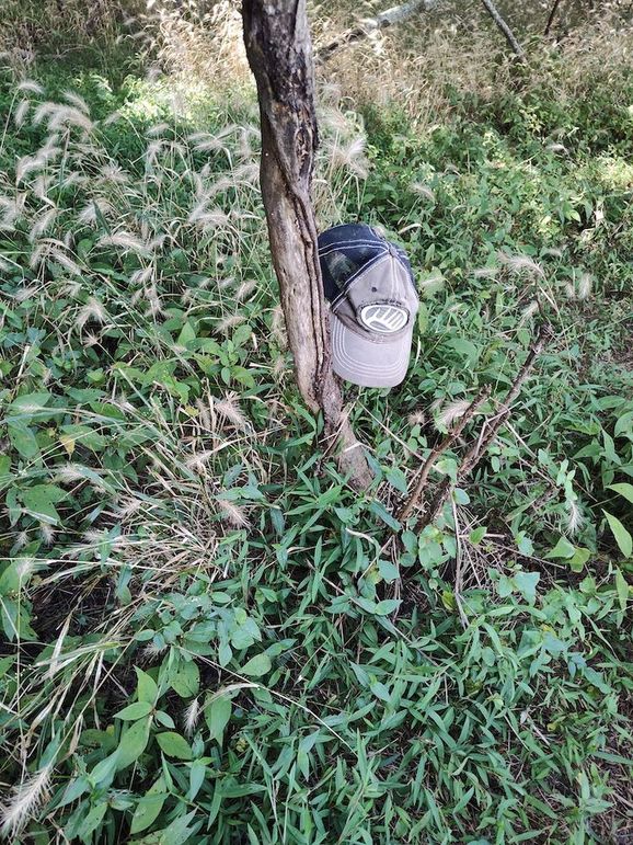 IMG_20250830_113014052