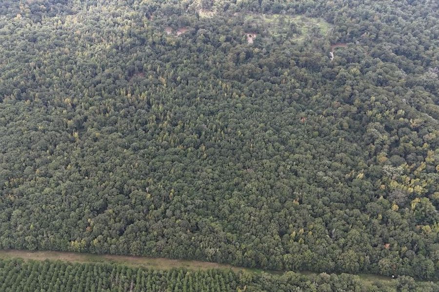 DJI_20240908004548_0078_D