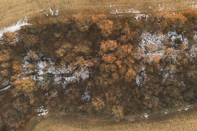 DJI_20251223075138_0155_D