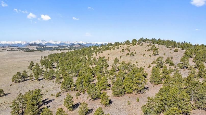 DJI_20250512105718_0708_D
