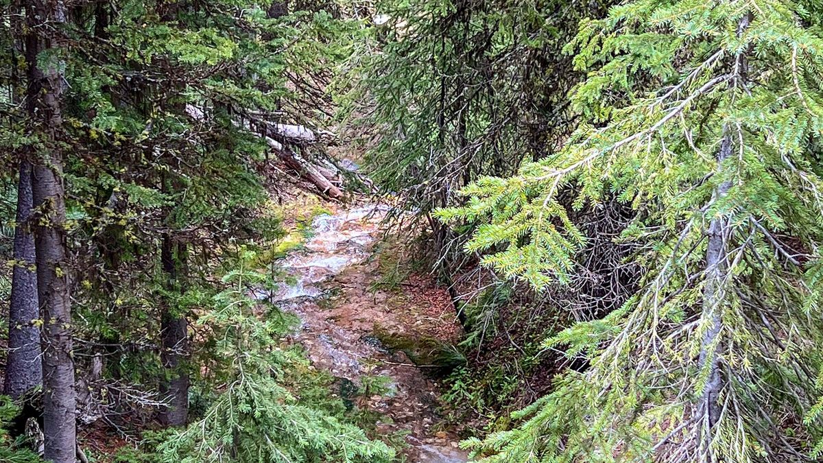 OffGrid Recreational Headquarters Whitetail Properties