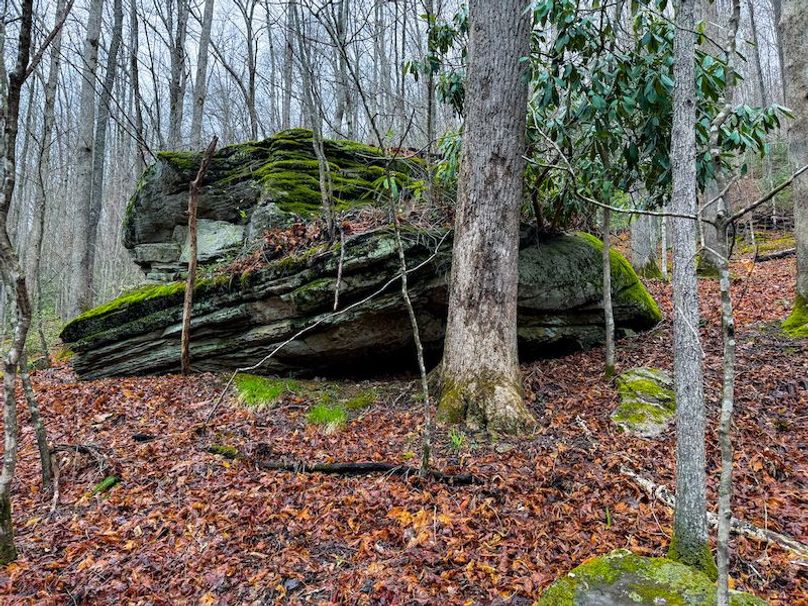 Braxton, WV 2.31 AC Winslow_Cole-12