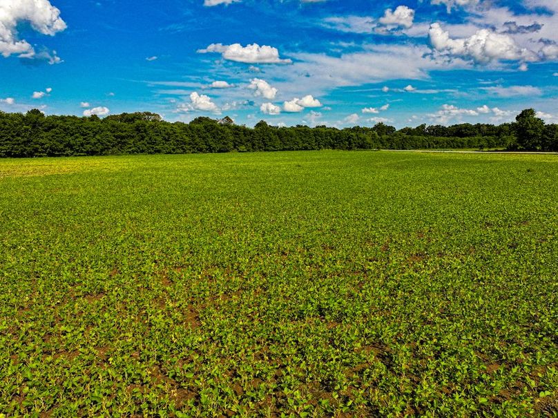 Chickasaw 160 Porter-12