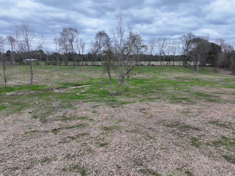 Copy of dji_fly_20260217_143908_0157_1771436903251_photo