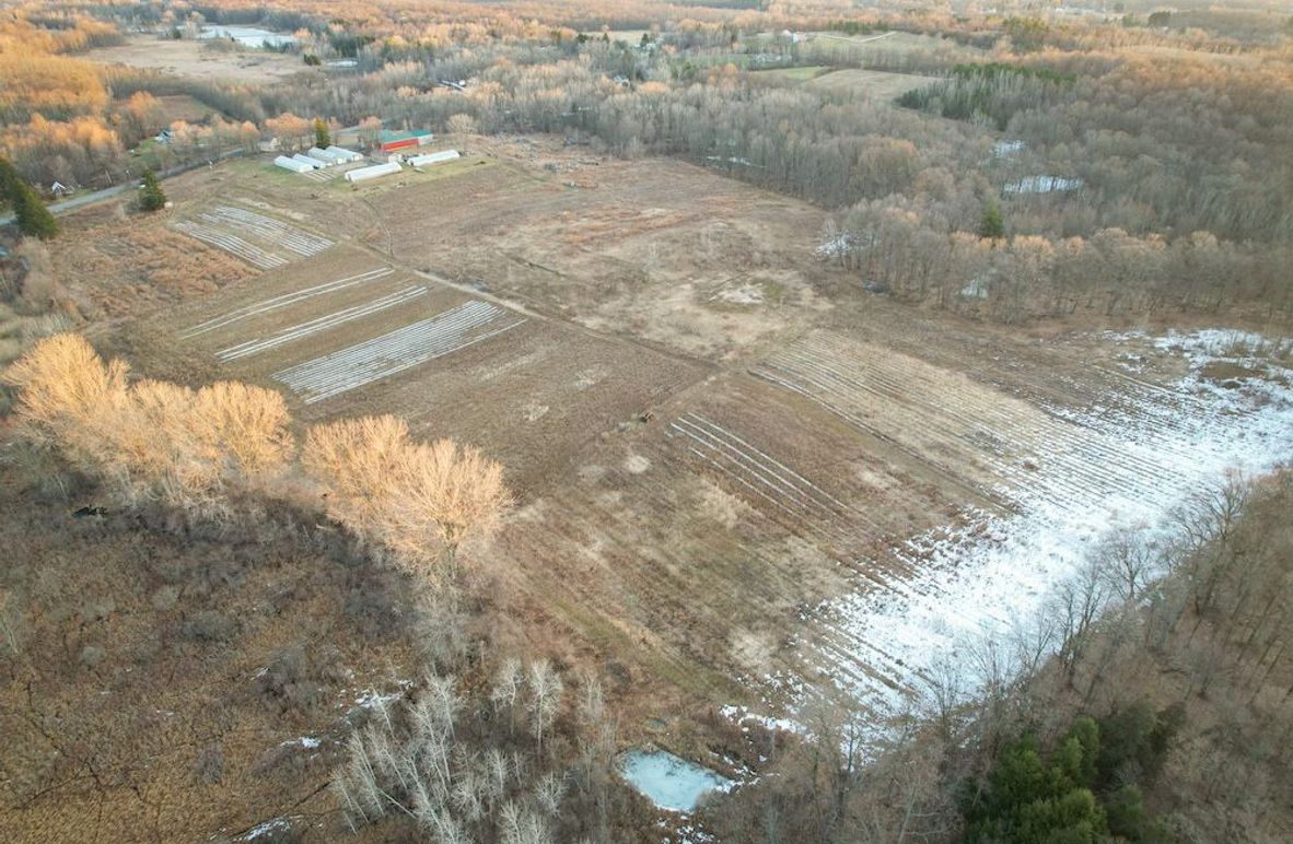 Cayuga_46.01_Avery_Photos_6