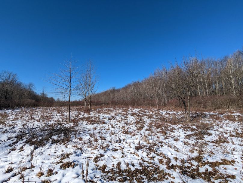 PXL_20230202_163123310