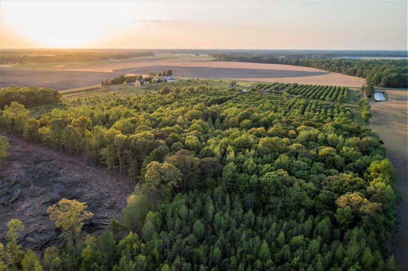 50.38ac_BethlehemRd_Caroline_AERIAL_004