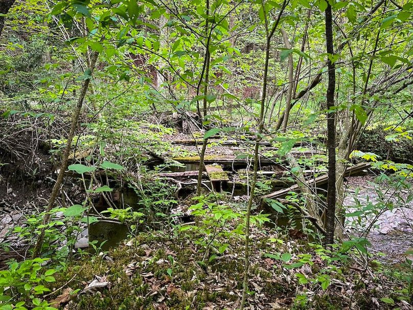 Tioga_78_Biada_Photos_96