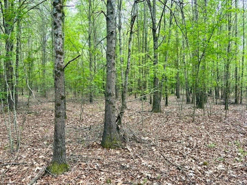 7FE97D9B-D605-4E77-9EFB-744B5CA229C6_1_105_c