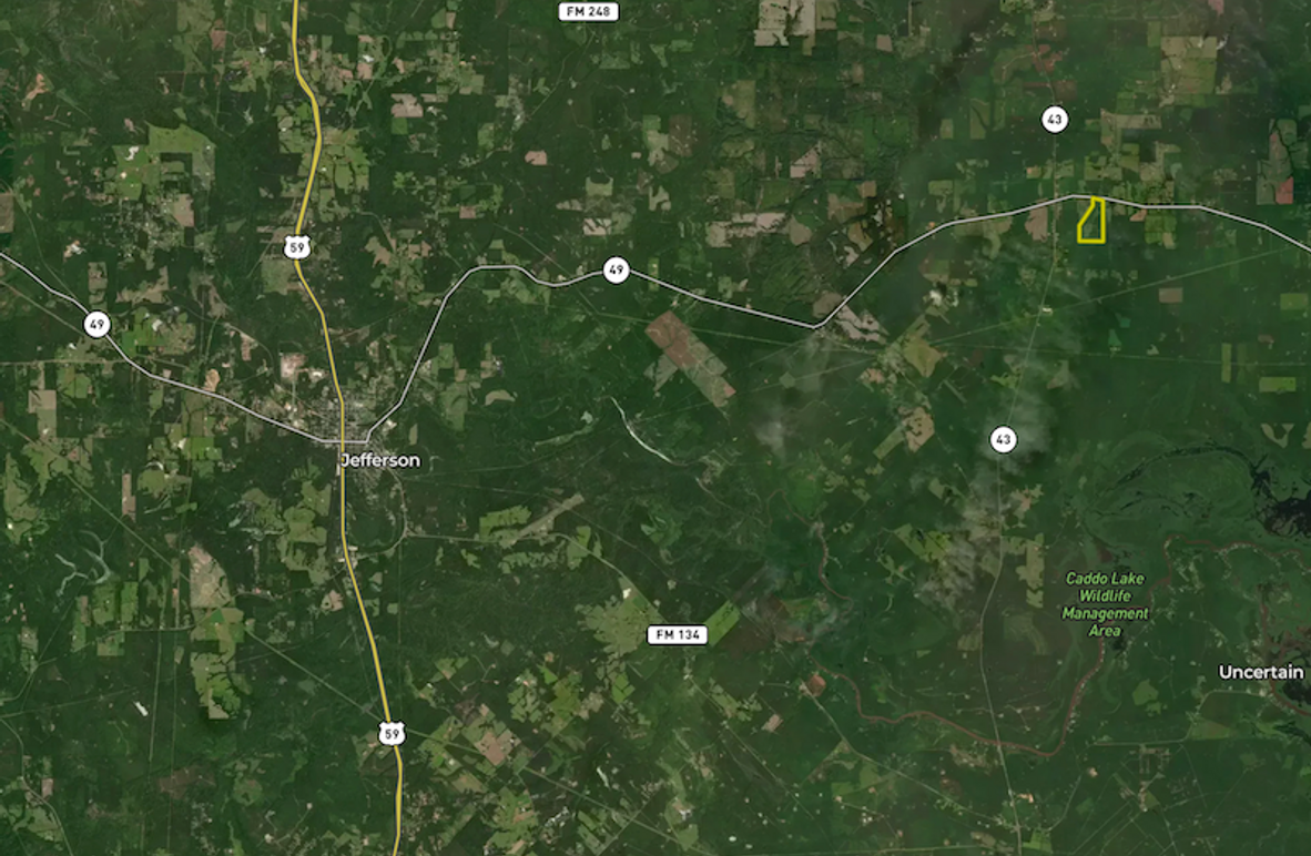 Screenshot 2025-08-21 at 12.54.34 PM