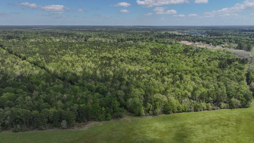 DJI_20260327120008_0055_D