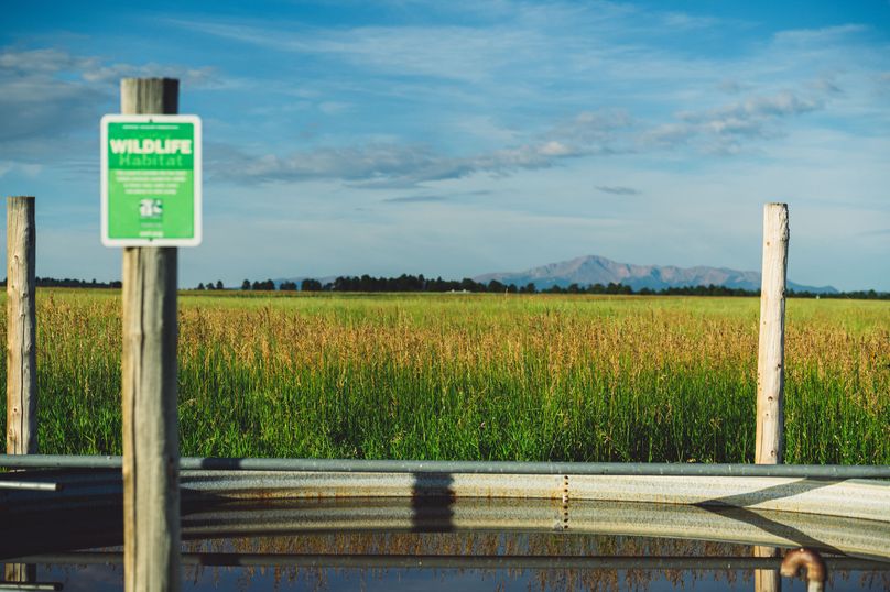 Douglas CO 35 Prettyman - 016 water tank East Boundary