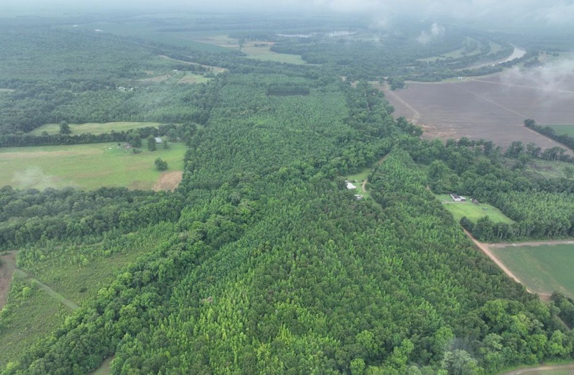 dji_fly_20260523_120004_472_1779631897364_photo