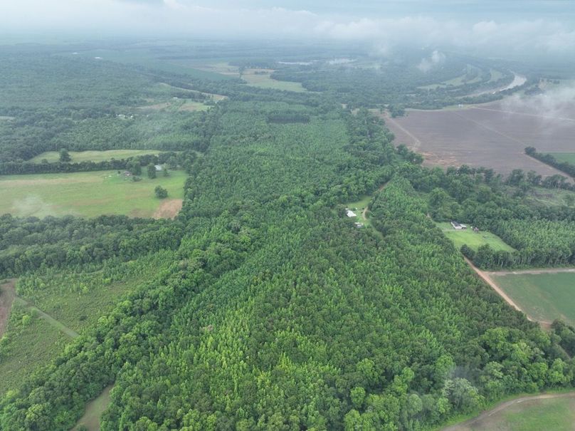 dji_fly_20260523_120004_472_1779631897364_photo