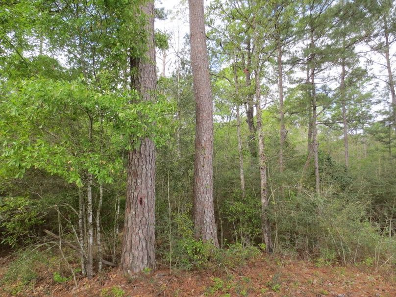 A09ED888-6E19-43BA-9E1E-D038727DFB9B_1_105_c