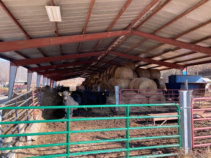 052 the feeding area of the steel shed copy
