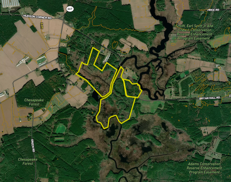 Screenshot 2025-08-09 at 12.01.41 PM