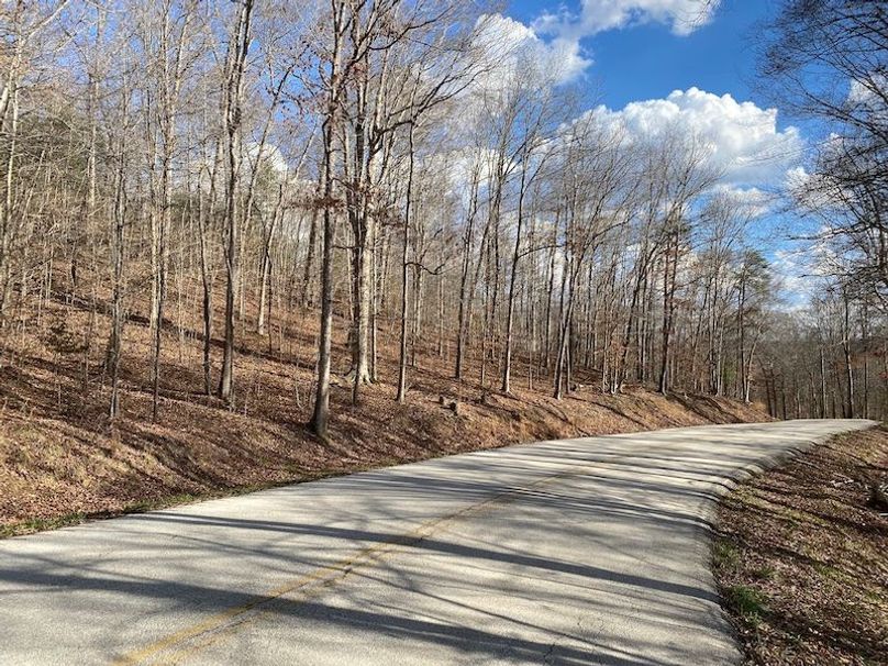 010 view of the road from the northwest corner looking south along KY 2016 in front of the property copy
