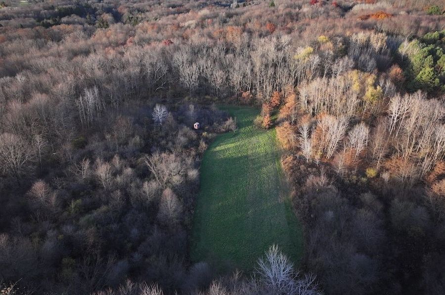 DJI_20241104052524_0164_D