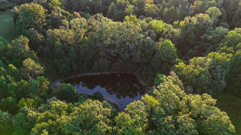 Hinds Co - 78 - Newman-40