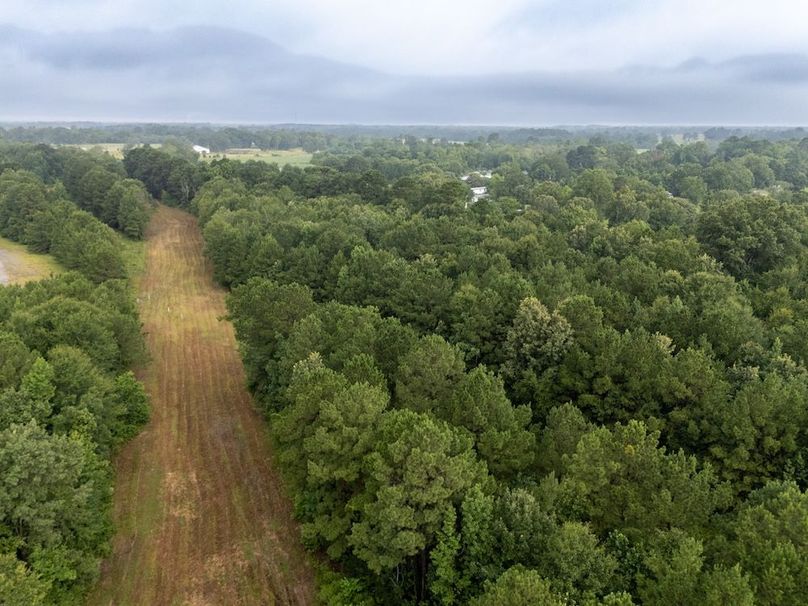 28 Panola Co. 40ac - Rouse-45