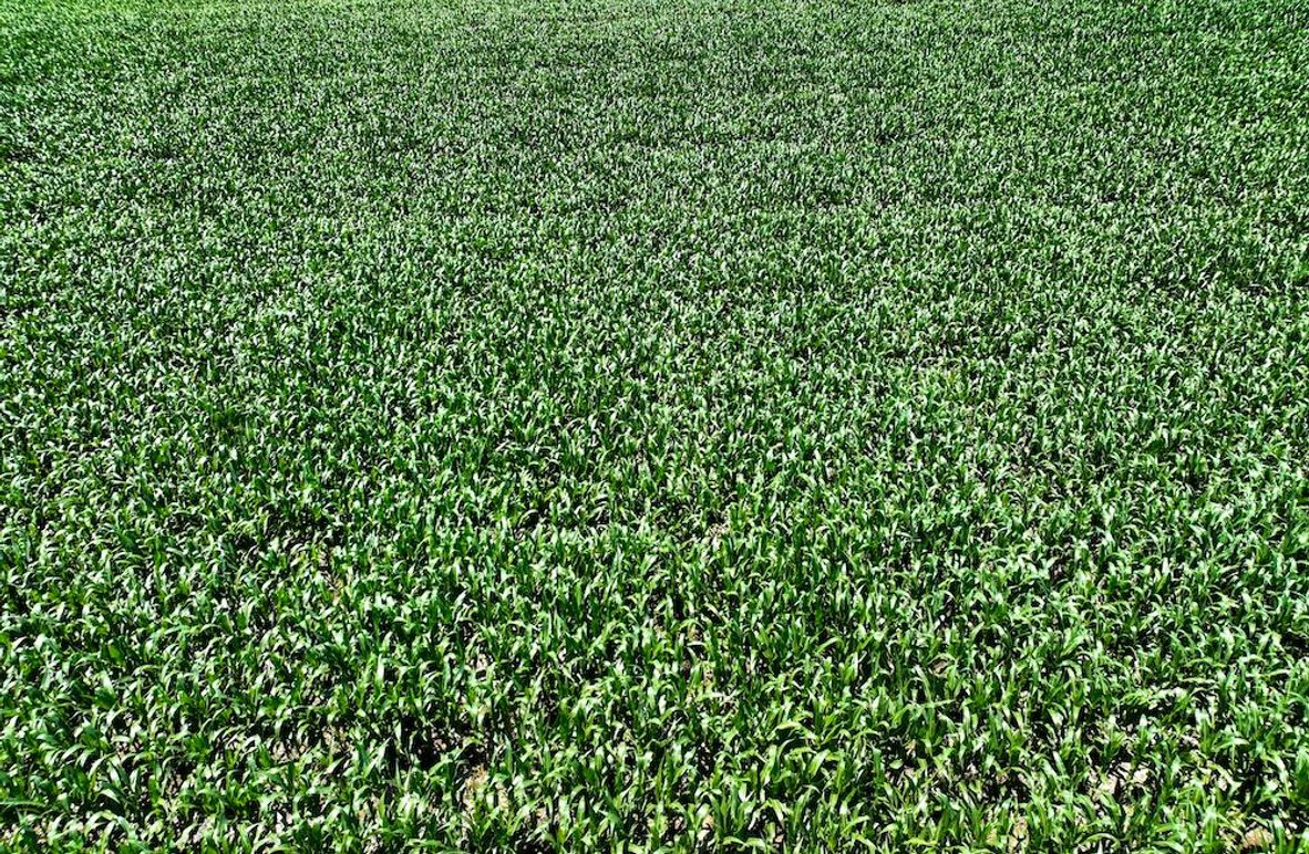 Jewell Ks, 117.3_036