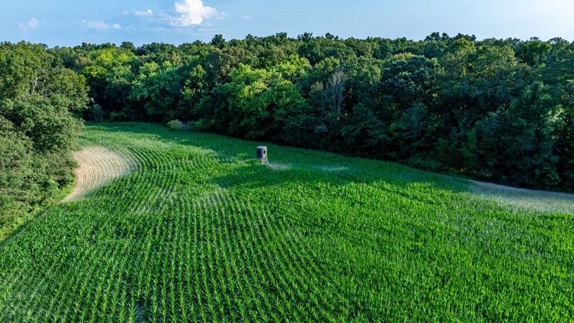 Copy of DJI_20250806051719_0010_D Large