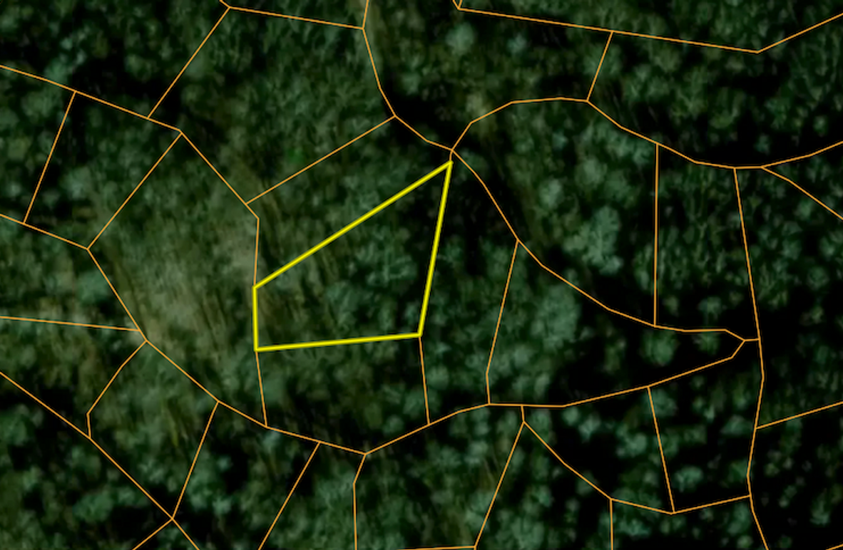 Screenshot 2025-03-19 at 10.42.30 AM