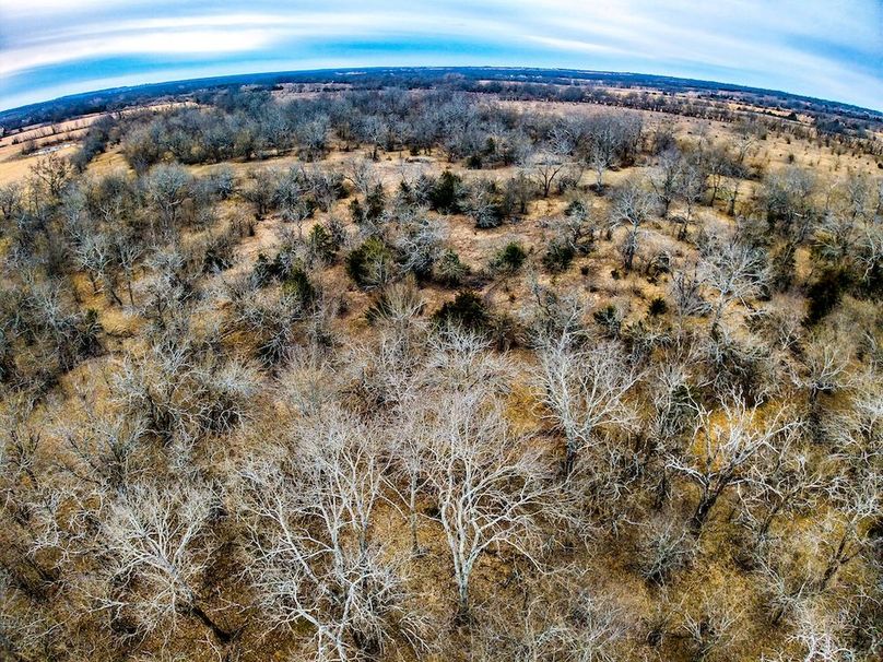 DJI_20260119085242_0656_D