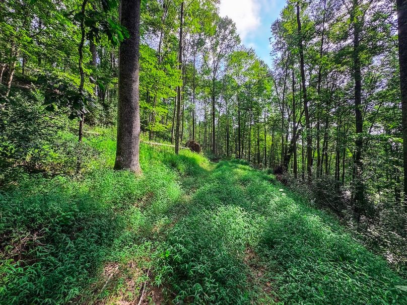 Lewis, WV 105 AC Miller-65