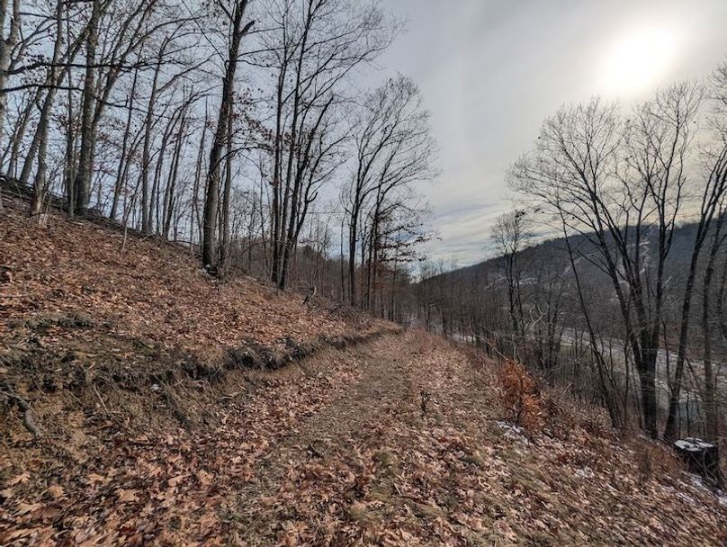 PXL_20260112_171318417