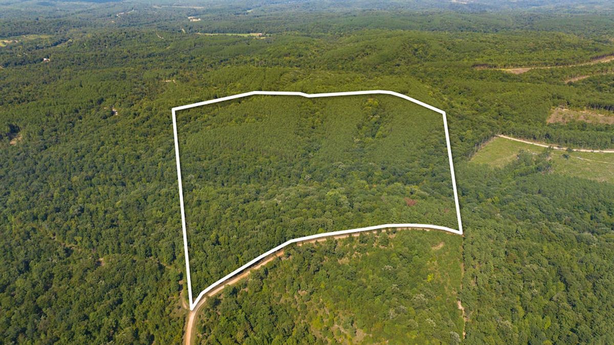 Prime Hunting Land With Road Frontage Whitetail Properties