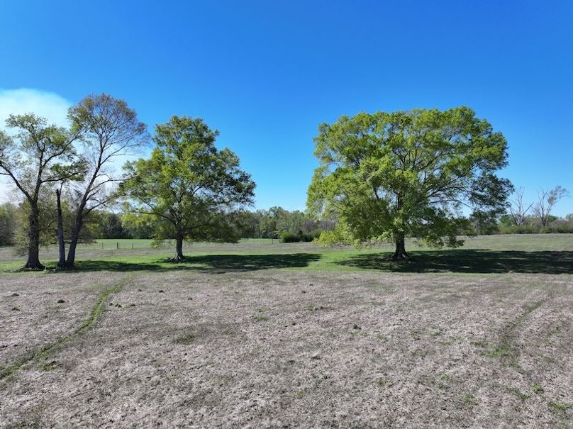 dji_fly_20260317_094448_0419_1773768870317_photo