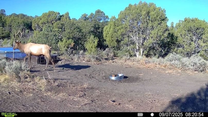 016578004060205-100-3-09072025082054-V-SYFW00053