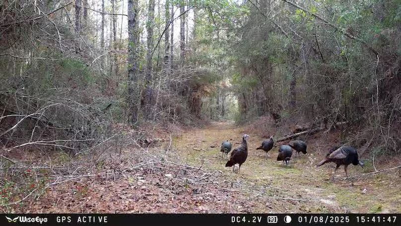 520445220_10161246519101875_4296977156939829705_n