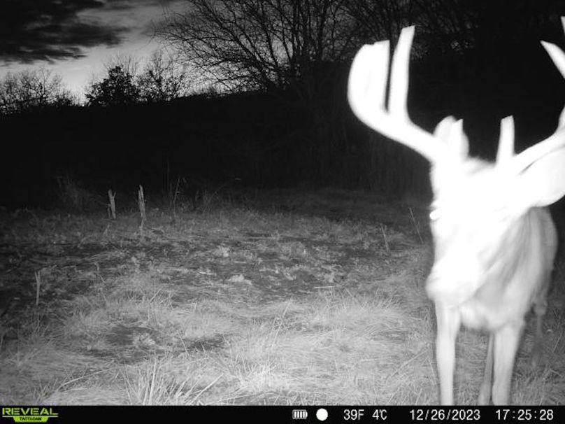 860322065287523-30-3-12262023172528-V-W1000116